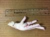 U.S. Chicken Paws avai...