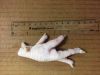 U.S. Chicken Paws avai...
