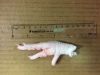 U.S. Chicken Paws avai...