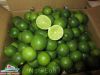 Fresh Lime Manufacturer of Viet Nam Best Price