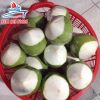 FRESH COCONUT DIAMOND CUTTING