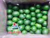 FRESH LIME SEEDLESS