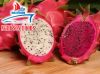 DRAGON FRUIT FOR SALE