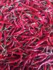 Supply TEJA S17 Chili ...