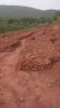 Manganese ore