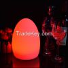 Egg Shaped Led Table Lamp With RGB Color Change Light