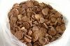 Supplying dried Areca Nuts for export