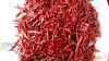 Trade chance to export and import TEJA S17 chili from India