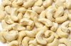 Cashew Nuts(W240, W320...