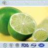 Reduce the permeability of blood vessel botanical extract CAS:520-27-4 rutaceous citrus medica L Diosmine EP8