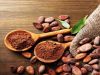 Cocoa Beans