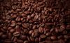 roasted coffee bean Organic coffee beans wholesale