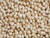 Dried Chickpeas Wholesale