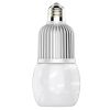 Icepipe LED Bulbs for Explosion Proof and Air Tight Fixtures