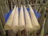 high quality pangasius...