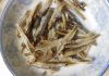 high quality dried anchovy seafood from vietnam