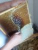 Mountain honey