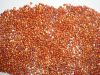 Red Sorghum