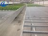 greenhouse expanded metal mesh bench, seedbed, plant grow table