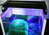 Professional aquarium dimmable LED lights with switch