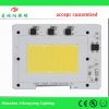 110V 220V Driveless 10W 30W 50W AC Cob Led with Epistar Chip for LED Flood Light