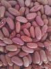 Butter Brown Beans