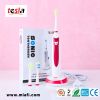 MAF8101 Economic Price Adult SonicToothbrush Dental Toothbrush Oral Fresh Product