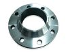 customer made stainless steel flanges 