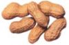 Chinese Groundnuts In ...