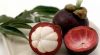 Mangosteen Rind