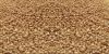 Sesame Seed