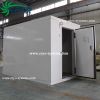 vegetable cold storage , walk in freezer with monoblock unit , mini cold store