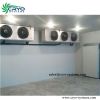 vegetable cold storage , walk in freezer with monoblock unit , mini cold store