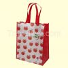 Nonwoven Bag Shopping Bag, Non Woven Handbag, Promotional Bag