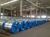 Rolled Steel Coils 