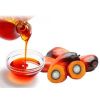 RBD  Crude Palm oil from Malaysia