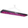 JCBritw LED Grow Light Panel 60W Growing Lamps Red Blue Spectrum Long Bar