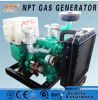 CE approved 10 kw generator biomass fuelled power plant