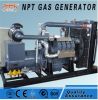 Customized 250 kw biomass gasification power with generator