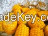 Sweet Corn