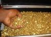 Gold NUGGETS &  BA...