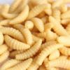 50PCS 2cm 0.3g maggot ...