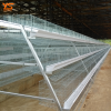 hot sale low price poultry farm battery layer chicken cage price