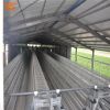 Q 235 steel layer chicken cage for chicken farm for sri lanka