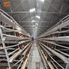 Q 235 steel layer chicken cage for chicken farm for sri lanka