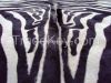 Zebra Cowhide Rugs