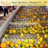 apple conveyor modular belt conveyor wire mesh conveyor