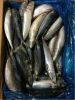 Wholesale Frozen Macke...