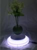 magnetic floating live bonsai tree with led light 0-300g