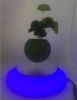 magnetic floating live bonsai tree with led light 0-300g